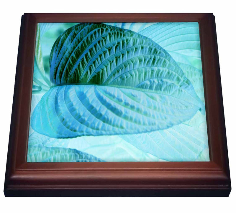 3dRose Print of Unique View Of Teal Leaf Close Up Trivet with Ceramic Tile, 8" x 8", Brown
