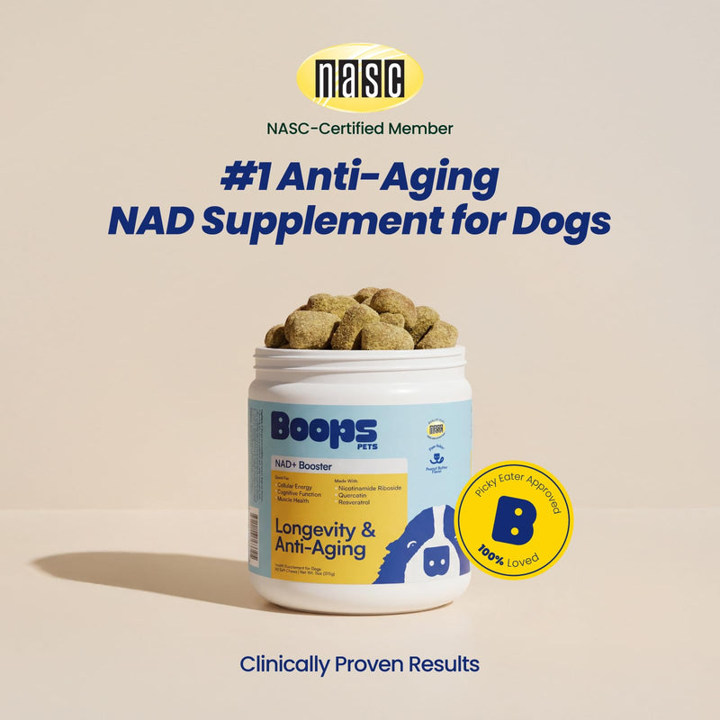 NAD+ Precursor & Senior Dog Supplement - 90 Soft Chews - NMN Alternative for Longevity & Healthy Aging - Nicotinamide Riboside, Resveratrol, Quercetin - Filet Mignon Steak Flavor Filet Mignon Steak & Beef