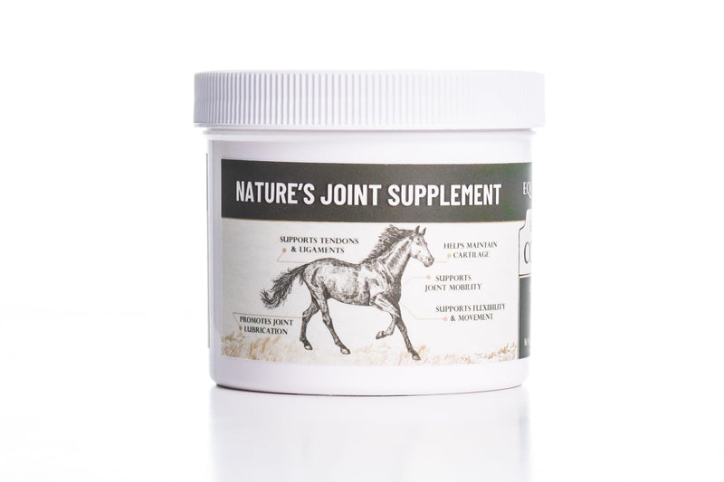 Eggshell Membrane Collagen for Horses – Natural Joint Supplement for Mobility, Cartilage, Tendons & Ligaments – Supports Flexibility – Pure Eggshell Membrane – Made in USA – 5.5 oz