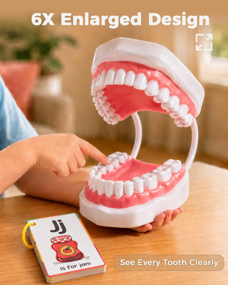 6X Teeth Mouth Model Set with White Hinge, Includes Tongue Depressor, Toothbrush and Letter Cards, 6X Enlarged Oral Cavity Model for Children's Brushing Training and Dental Hygiene Teaching