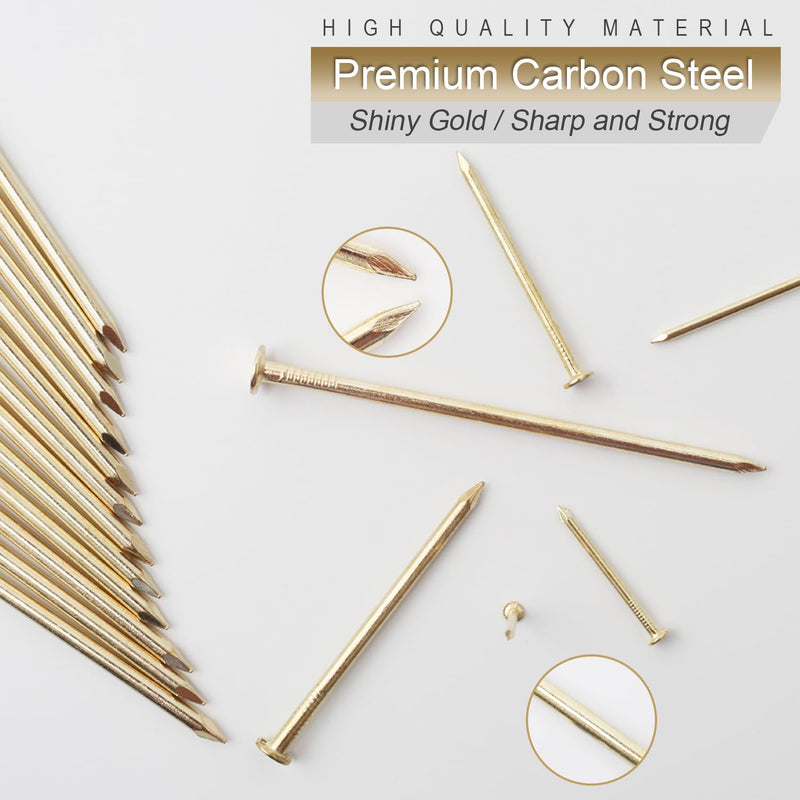 6 Sizes Gold Hardware Nails Assortment Kit, 358pcs, Brass Plated, Nails for Hanging Pictures, Finishing Nails, Wood Nails, Wall Nails for Hanging (3”, 2”, 1-1/2”, 1-1/4", 1”, 3/4") 358