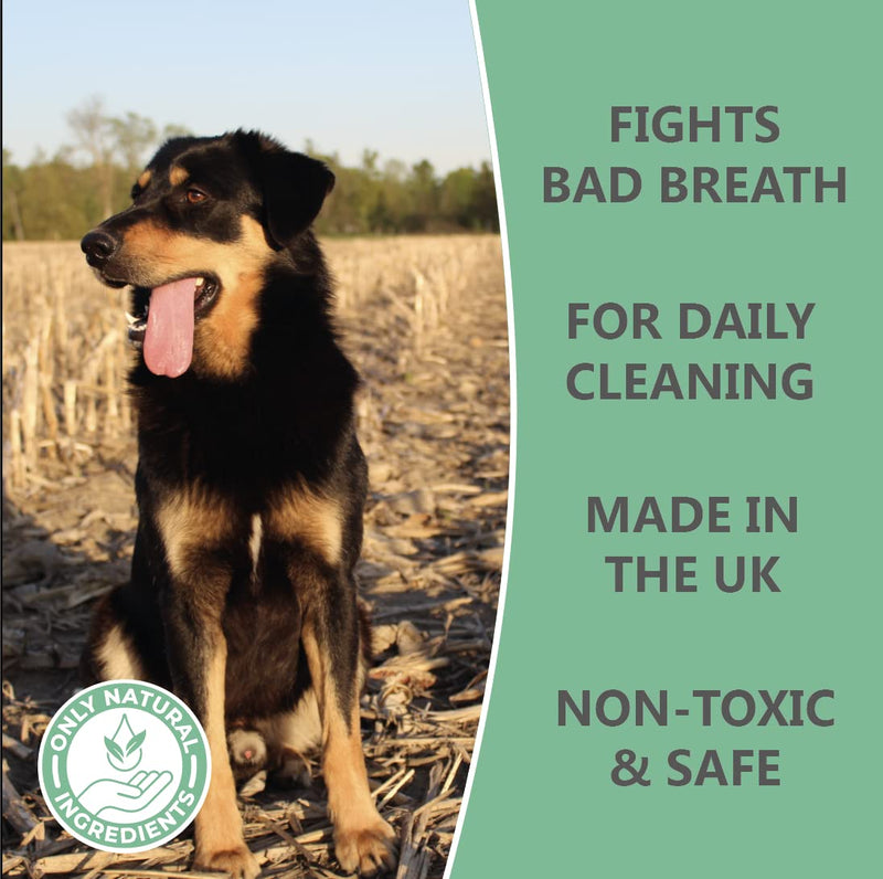 Pets Purest Breath Freshener & Dental Teeth Cleaning Spray - 100% Natural Plaque & Tartar Remover, Mouthwash & Bad Breath Treatment Water Formula for Dogs & Cat - 200ml - PawsPlanet Australia
