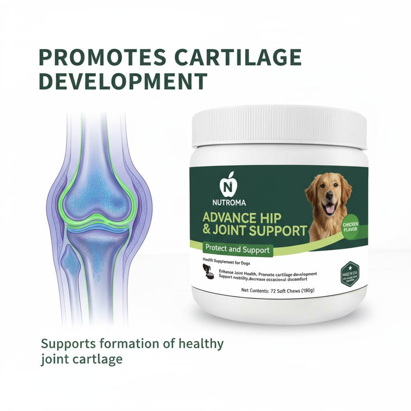 Dog Joint Supplement – Advanced Hip & Joint Support Soft Chews with Glucosamine, Chondroitin, MSM, Omega 3 & Green Lipped Mussels – Chicken Flavor Mobility & Cartilage Health – 72 Count