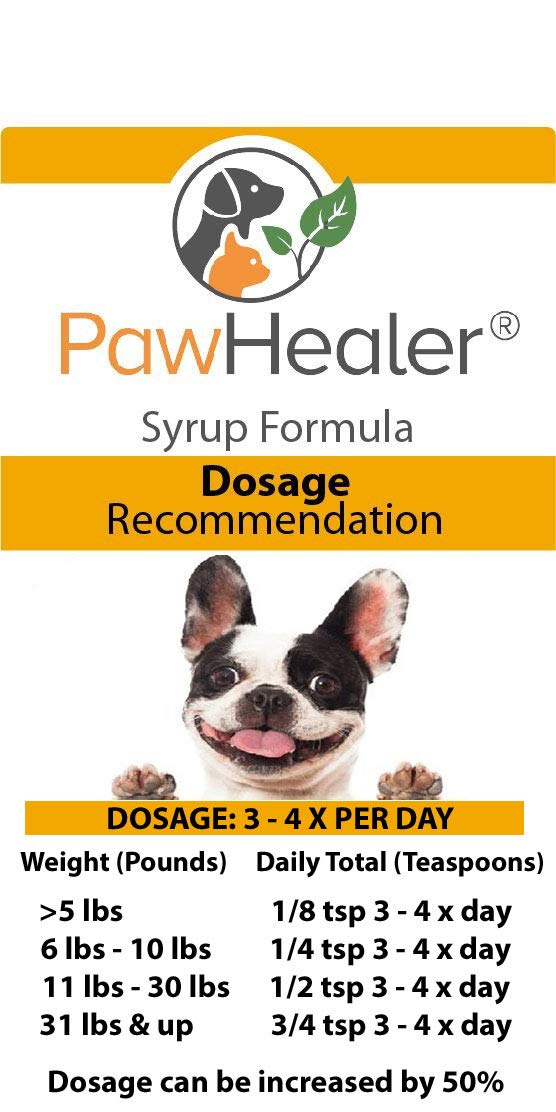 Trachea Soother Syrup BUNDLE with Trachea Support: Phlegm Heat - Natural Herbal Remedy for Symptoms of Collapsed Trachea for Dogs - Combo of (1 Bottle) 5 fl oz Syrup & (1 Bottle) 50 Grams Powder … - PawsPlanet Australia