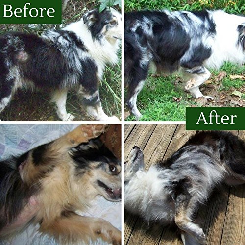 Davis TheraCoat for Pets - NewNest Australia