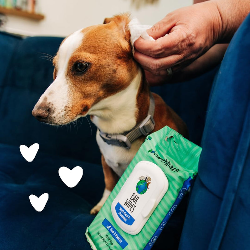 earthbath, Dog Ear Wipes - Gentle Dog Ear Cleaner, Best Pet Wipes for Dogs & Cats, Made in USA, Cruelty-Free Dog Wipes, Keep Your Pet's Ears Naturally Clear & Infection Free - 25 Count (1 Pack) Pack of 1 - PawsPlanet Australia