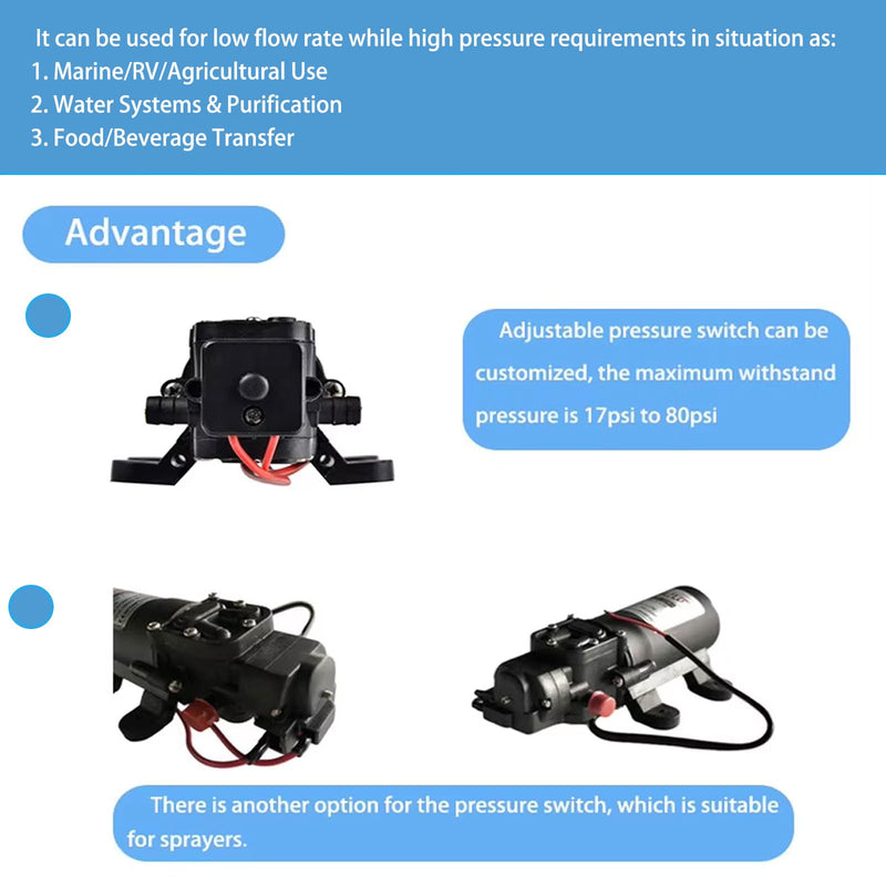 FL-2202 Diaphragm Water Pressure Pump for Caravan/RV/Boat/Marine 12V DC 1.1 GPM 35 PSI,Self-Priming Adjustable Pressure Switch 35 PSI without faucet