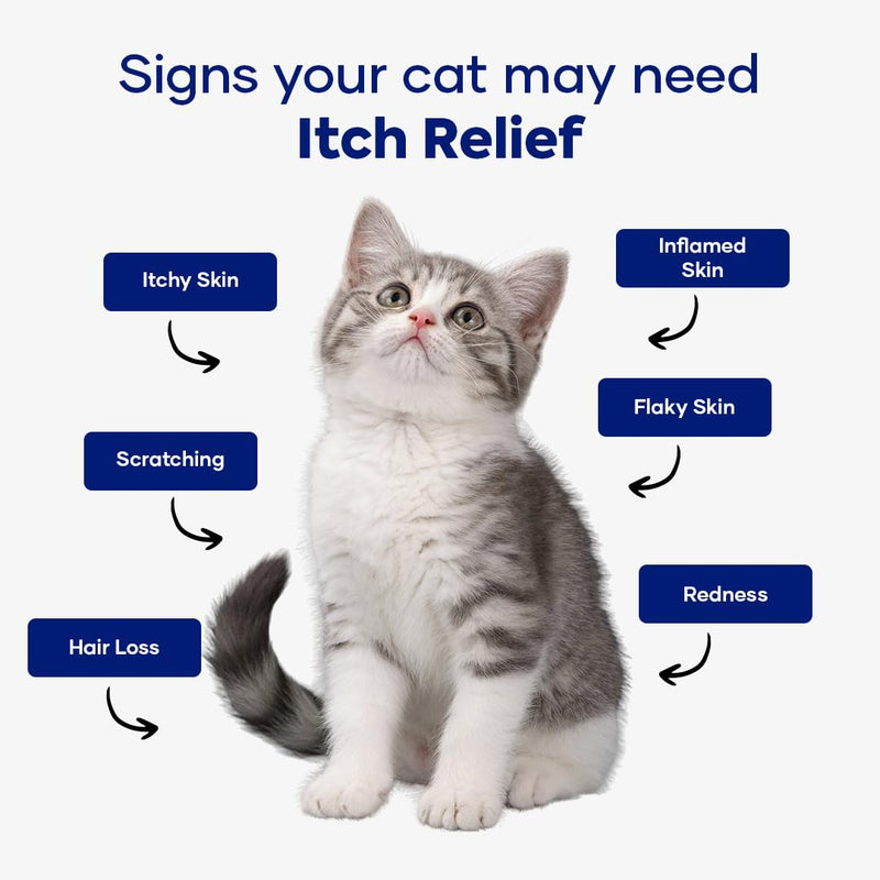 Feline Itch Relief Cat Allergy Relief & Itchy Skin Supplement for Cats | Omega-3s & Calendula | Cat Vitamin | Seasonal Allergy Relief | Soft Cat Chews | for Kittens & Adult Cats 1