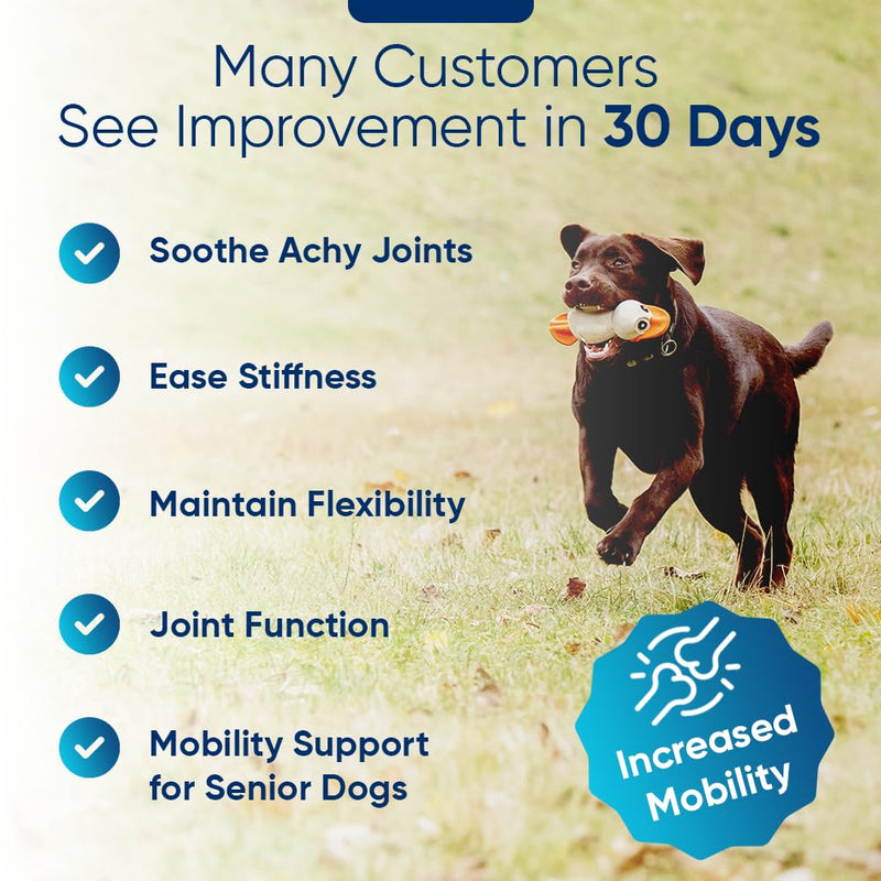 iHeartDogs Hemp Calming & Mobility Chews for Dogs - Dog Anxiety Relief Bites with Hemp - Bacon Flavored Dog Calming Treats for Anxiety, Stress, & Joint Movement - PawsPlanet Australia