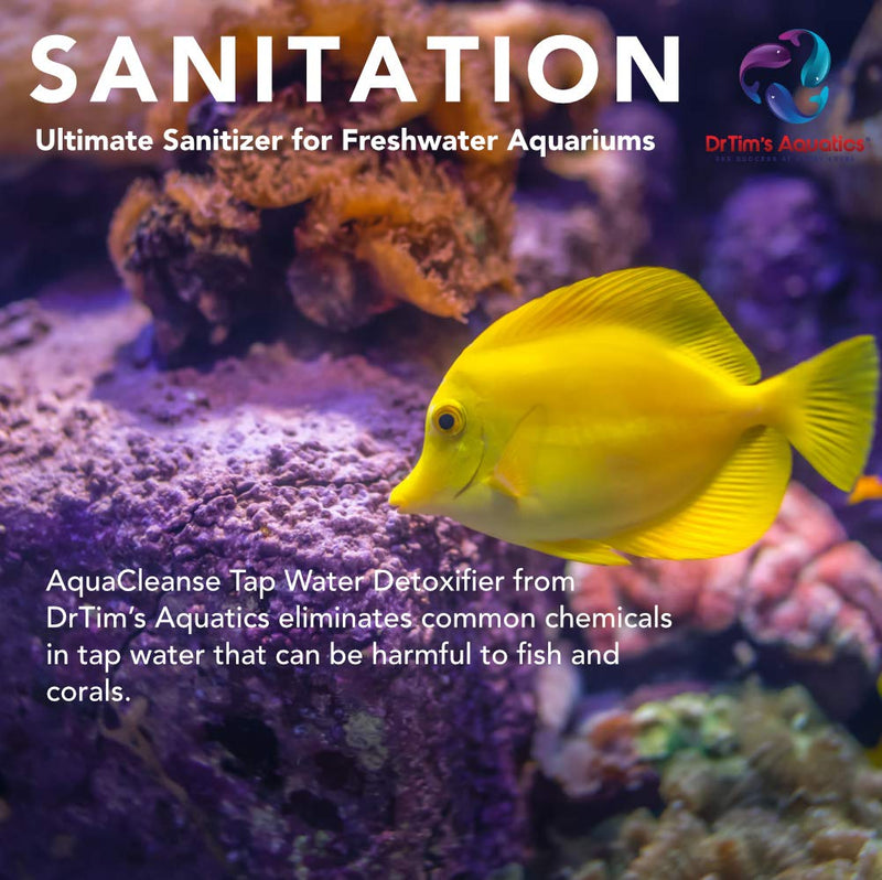DrTim’s Aquatics AquaCleanse for Freshwater Aquariums – 16 oz – Tap Water Conditioner – Prepares Water for Fish Tanks, Supports Visual Clarity & Stable, Balanced Parameters DrTim's Aquatics AquaCleanse Freshwater 16oz