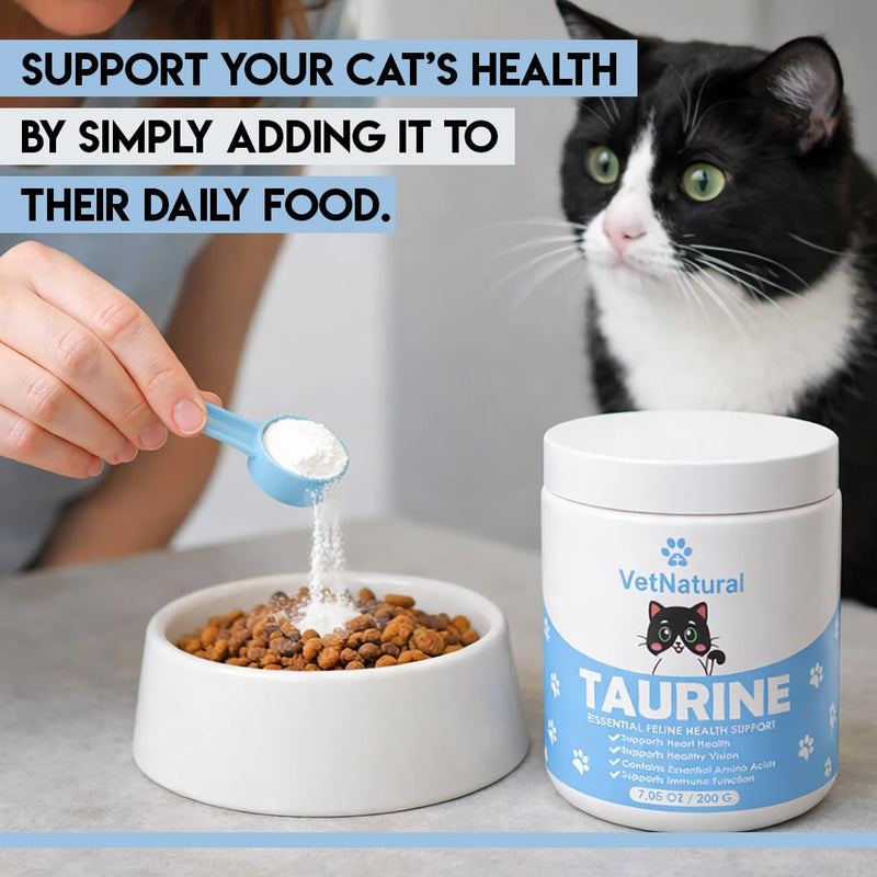 KittySupps Taurine Supplement for Cats – 99.99% Pure Taurine Powder – Supports Daily Nutrition & Overall Wellness – Easy to Mix in Food, Includes Measuring Spoon