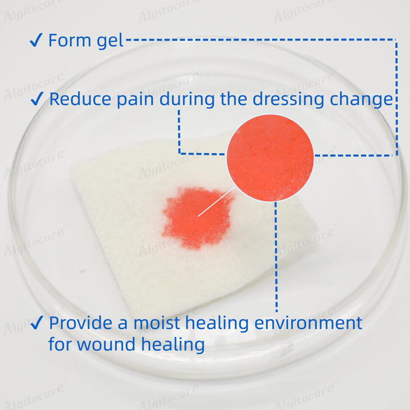 Ag Silver Calcium Alginate Wound Dressing - 2"x2"(Pack of 10), Non-Stick Sterile Gauze Pads for Accelerating Wound Healing, High Absorbency and Soft for Wound Care Supplies 2"x2"/10pcs Silver Alginate