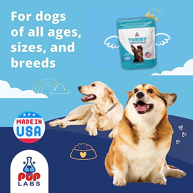 Tummy Essentials Probiotics for Dogs - Eliminate Digestive Dysfunction - Supports Gut Health - Dog Probiotics Support a Happy and Active Life - Made for All Dogs and in The USA, 30 Chews Bag - PawsPlanet Australia