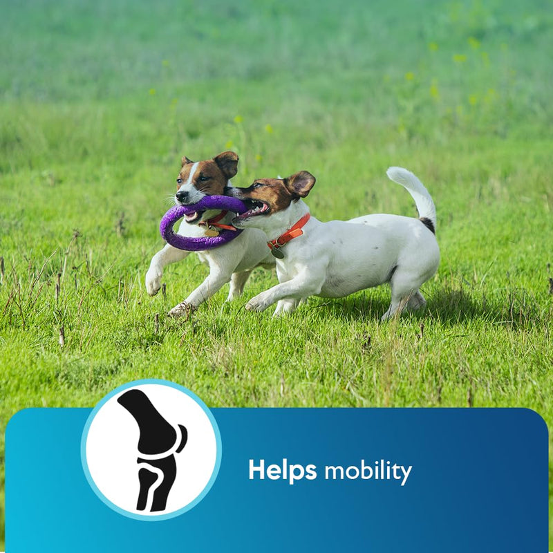 iHeartDogs Hemp Calming & Mobility Chews for Dogs - Dog Anxiety Relief Bites with Hemp - Bacon Flavored Dog Calming Treats for Anxiety, Stress, & Joint Movement - PawsPlanet Australia
