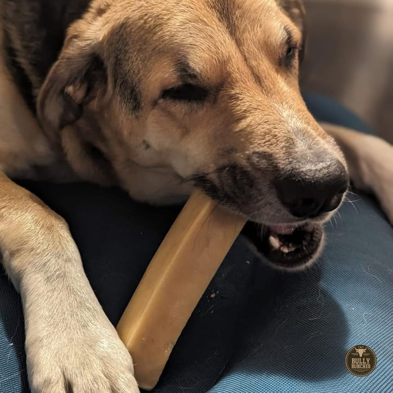 Bully Bunches Mega Authentic Yak Cheese Himalayan Chews for Giant Dogs & Super Aggressive Chewers - All Natural Dog Treat Dental Chews, Made with Real Yak Milk - Lactose & Rawhide Free (2 PK) Mega, 2 Pack - PawsPlanet Australia