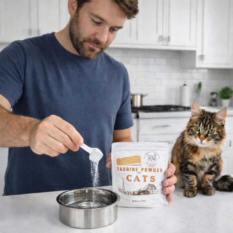 Taurine for Cats - Taurine Powder for All Ages Including Kittens - 144+ Servings - 500mg Supplement - unscented (6oz) 6oz