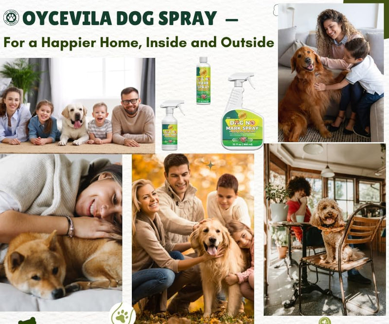 16oz Puppy Potty Training Spray - Dog No Pee Spray – Non-Toxic Protection for Carpets, Sofas & Yard Plants - No Pee Here Formula - Anti Marking Spray for Dogs