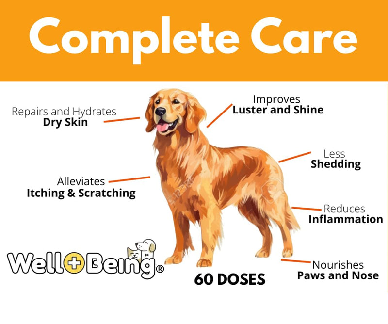 Nature’s Diet Well+Being Skin & Coat Supplement for Dogs & Cats – Collagen, Omega 3 & 6, Flax & Chia – Supports Healthy Skin, Shiny Coat & Reduced Shedding – 60 Doses (6 oz)