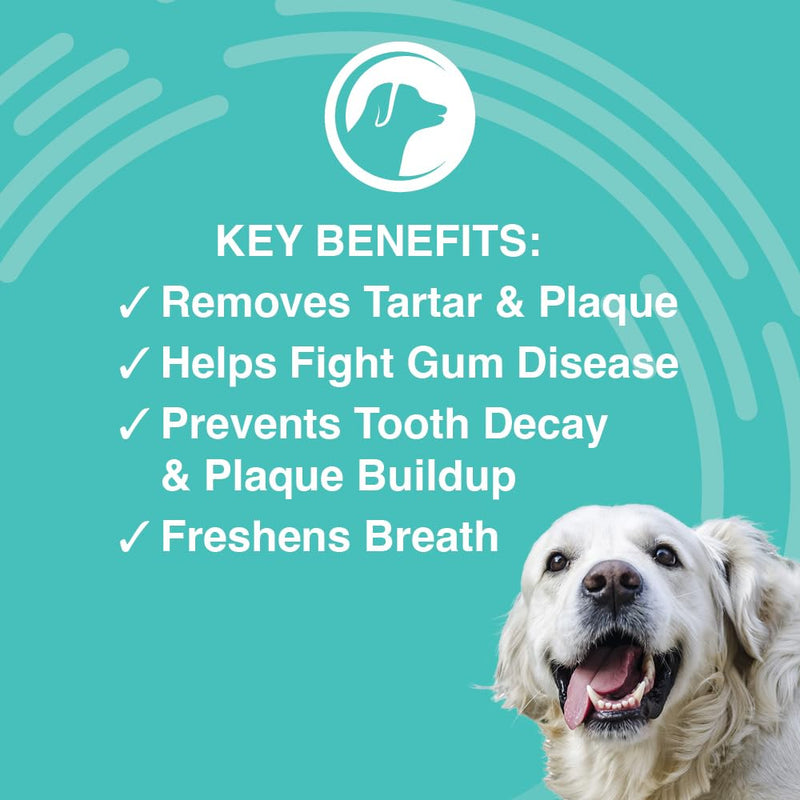 Nootie Dental Gel and 60 Count Dental Wipe Bundle - PawsPlanet Australia