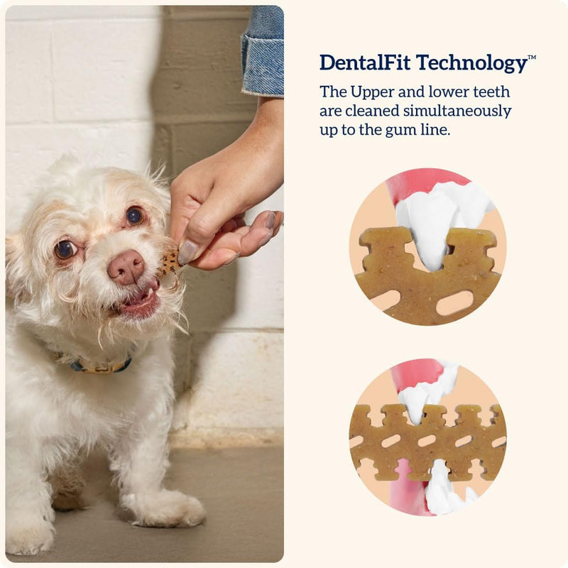 Groovies Dog & Cat Dental Bundle – Flexible Dog Chews (Small 5–15 lb, 22 Ct) + Cat Daily Dental Treats Salmon Flavor (7.05oz, 460 Treats), DentalFit Technology for Tartar Control & Fresh Breath, USA M