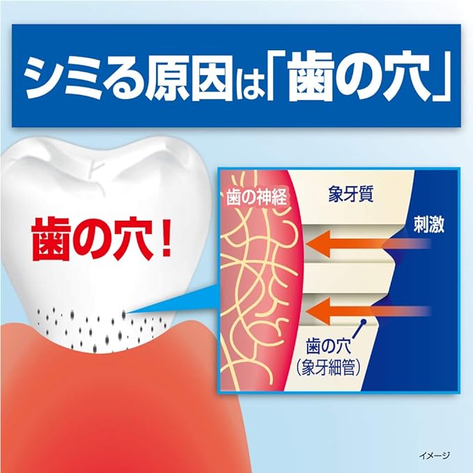 Haumel Hypersensitivity Care Paste, Medicated Toothpaste, 3.5 oz (100 g), Filling Teeth Holes, Kobayashi Pharmaceutical (Quasi-Drug) 1 Piece - NewNest Australia