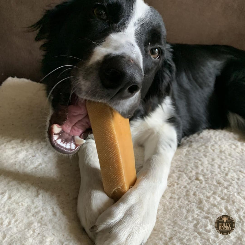 Bully Bunches Mega Authentic Yak Cheese Himalayan Chews for Giant Dogs & Super Aggressive Chewers - All Natural Dog Treat Dental Chews, Made with Real Yak Milk - Lactose & Rawhide Free (2 PK) Mega, 2 Pack - PawsPlanet Australia