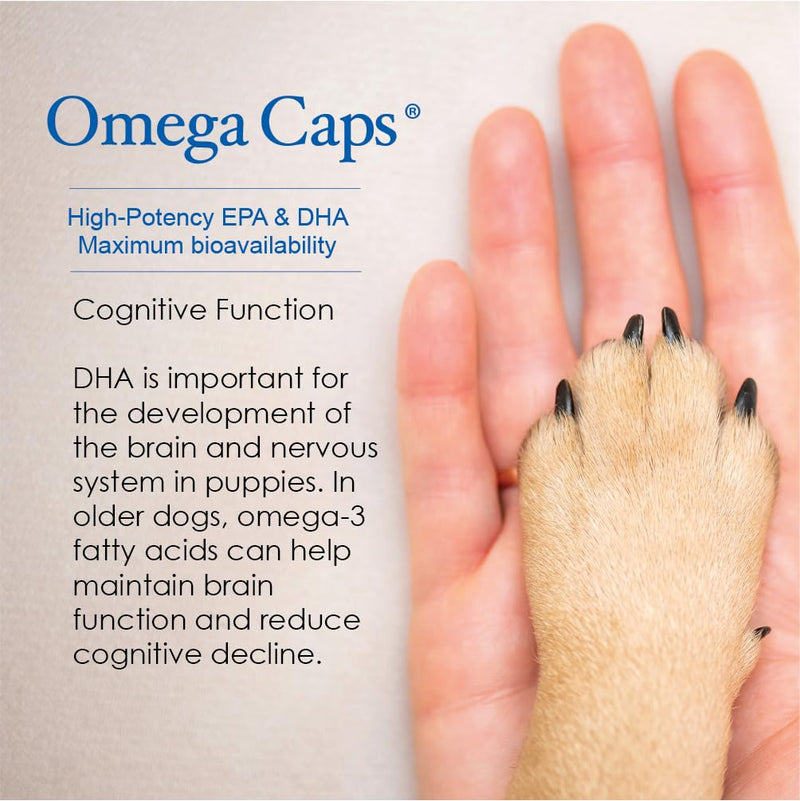 Omega-Caps High Potency Snip Tips for Medium to Large Breeds-Vet Formulated for Healthy Radiant Skin & Coat. Contains Omega 3 for Joint & Immune System Support, Easy to Dose Soft Gel Capsules 250 CT. Medium & Large Dogs 250 Capsules - PawsPlanet Australia