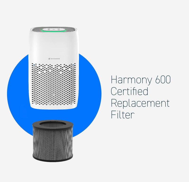 HATHASPACE HARMONY 600 H13 HEPA Filter Replacement HSE600 5.8" x 14" x 5.8"