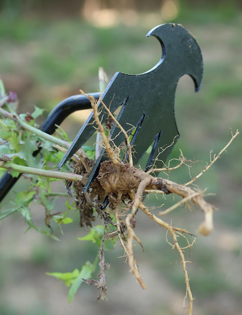 TOYPOPOR New Weeding Artifact Uprooting Weeding Tool, 16" Weed Puller, 4 Teeth Manganese Steel Forged Hand Pulling Weeder for Garden Yard Farm Weed Removal 4 Teeth Weeder