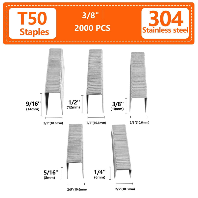 3/8 Inch Length Beveled Chiseled Pointed Heavy Duty T50 304 Stainless Steel Staples 2000-Count, A11 20 Gauge for Pneumatic, Electric T50 Stapler 3/8 Inch