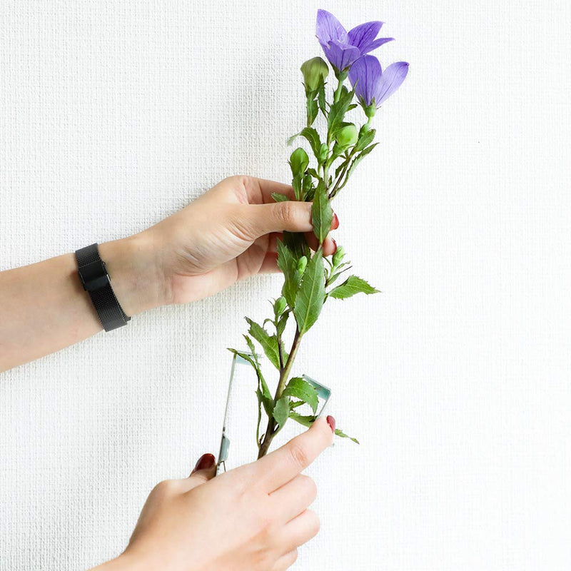 Wazakura Rose Thorn Stripper Tool, 100% Made in Japan 4.2 in (107mm) with Finger Rest, Metal Leaf Thorn Remover Tool, Portable Flower Stem Cutter, Iron Floral Shredder for Florist Silver