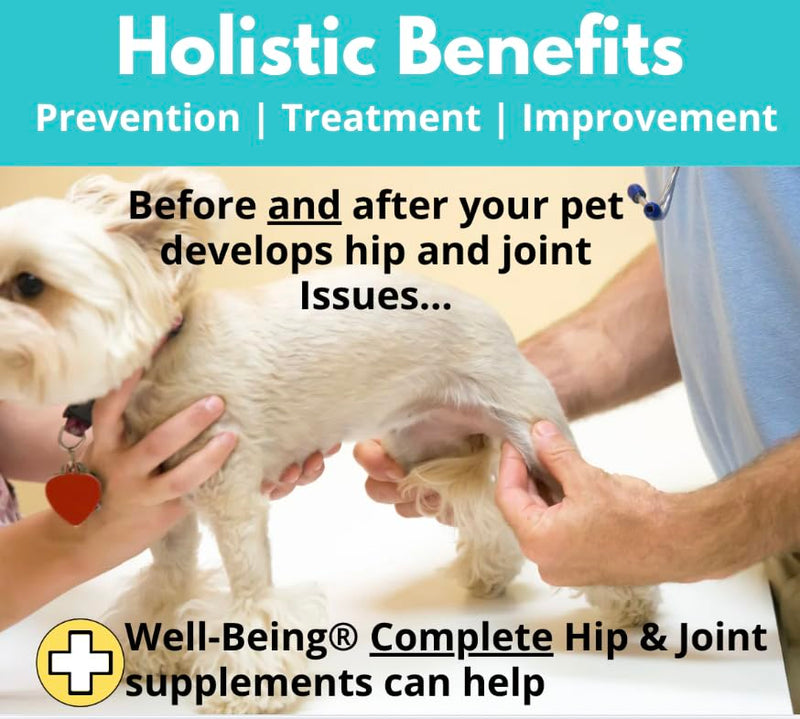Well-Being for Dogs Joint Health Supplement, Contains Glucosamine, Plus Chondroitin, Collagen and MSM, Professional Grade Wellness Supports Healthy Joints, For All Breeds and Sizes, 60 Doses