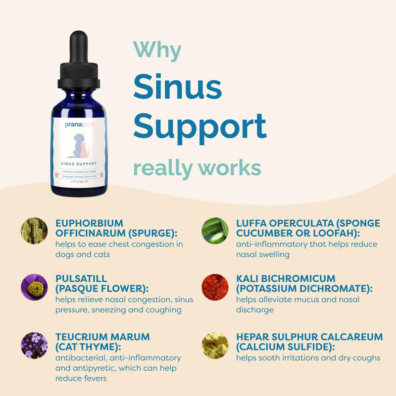 PranaPets Sinus Support Liquid Supplement for Pets | Naturally Supports Cat & Dog Sinus Relief | Natural Formula for Congestion - PawsPlanet Australia