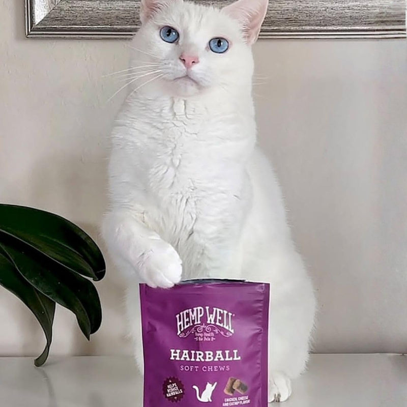 Hemp Well Cat Hairball Soft Chews for Cats, Hairball Control & Digestive Support, Organic Hemp Seed Powder, Pumpkin Seed & Psyllium Fiber, Skin & Coat Support, Chicken Cheese & Catnip Flavor, 60 Ct 2.11 Ounce (Pack of 1)