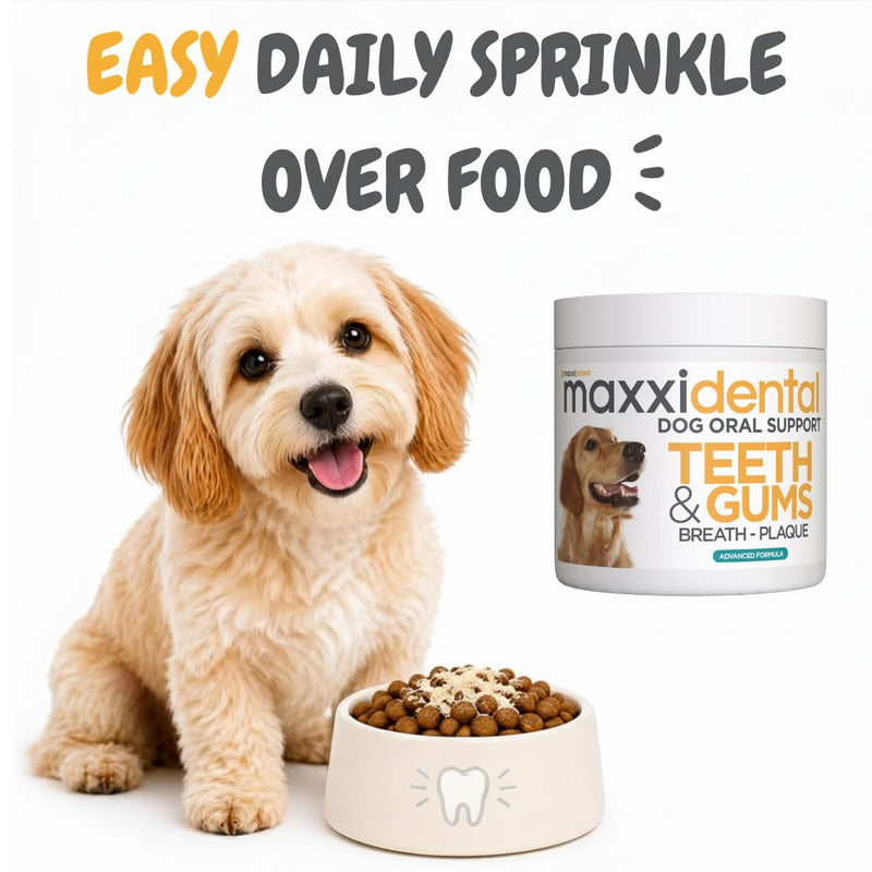 maxxipaws maxxidental Dog Dental Powder | Oral Care Supplement for Teeth, Gums, Plaque, Tartar and Fresh Breath | Kelp, Zeolite, Papain, Probiotics | Easy Sprinkle Formula | 5 oz