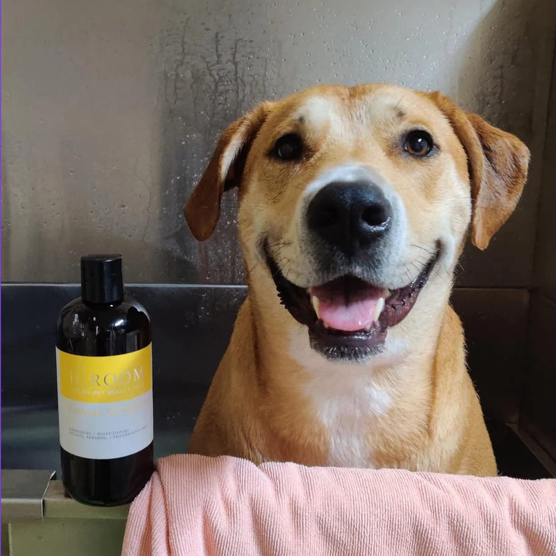 iGroom Dog Shampoo + Dog Conditioner Groomers Bundle - Banana Dog Shampoo Concentrate, Nourish & Moisturize, Nutrient Rich, 16 oz - Pro-Keratin Leave-in Dog Conditioner, Excellent Detangling, 16 oz - PawsPlanet Australia