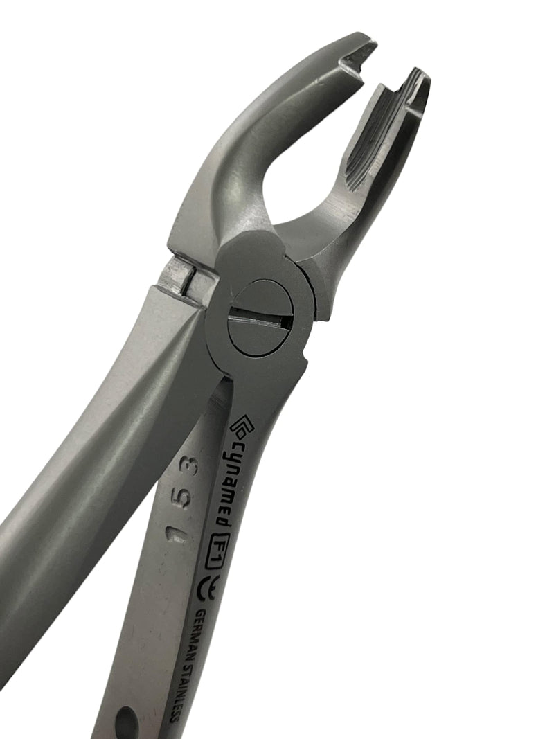 Dental Extracting Extraction Serrated Forceps F1, for Upper Anterior Region, Premium Quality Gold Handle, Stainless Steel