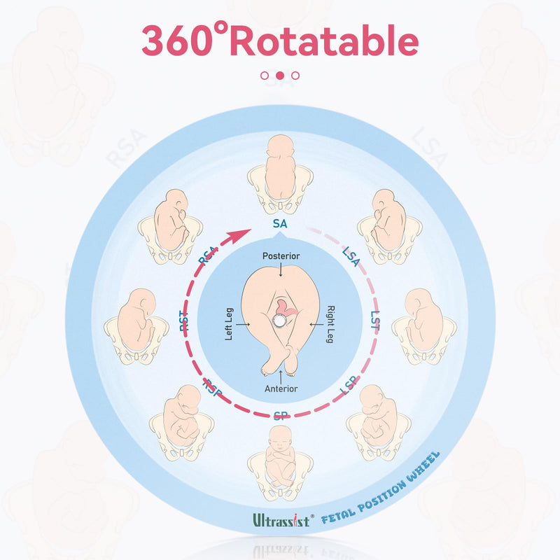 Midwife Fetal Position Tool - Small Size 5.12", Fetal Position Wheel for Midwives, Doula and Obstetricians Gifts, Childbirth Education Tool for Medical & Nursing Students