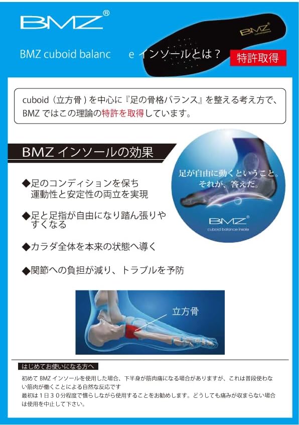 CORE-RIGHT Training Insole, Beautiful Legs Effect, Diet, Flatfoot, Standing Work, Shock Absorption, Insole, Arch Support, Blue, blue - NewNest Australia