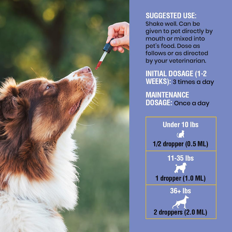 Kennel Cough Support for Dogs & Cats – Helps with Dry, Wet & Barking Cough – Herbal Pet Respiratory & Throat Support, Supports Breathing & Clear Airways – Natural Liquid Supplement – 8oz 8 Ounce