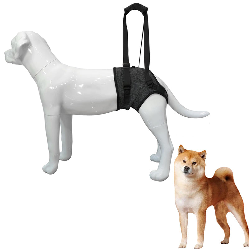 LIU&LIU Dog Support Harness for Hind Limb and Hip,Pet Recovery Walking Training,Elderly Injured Disbled,Dark Grey,S S Dark Grey