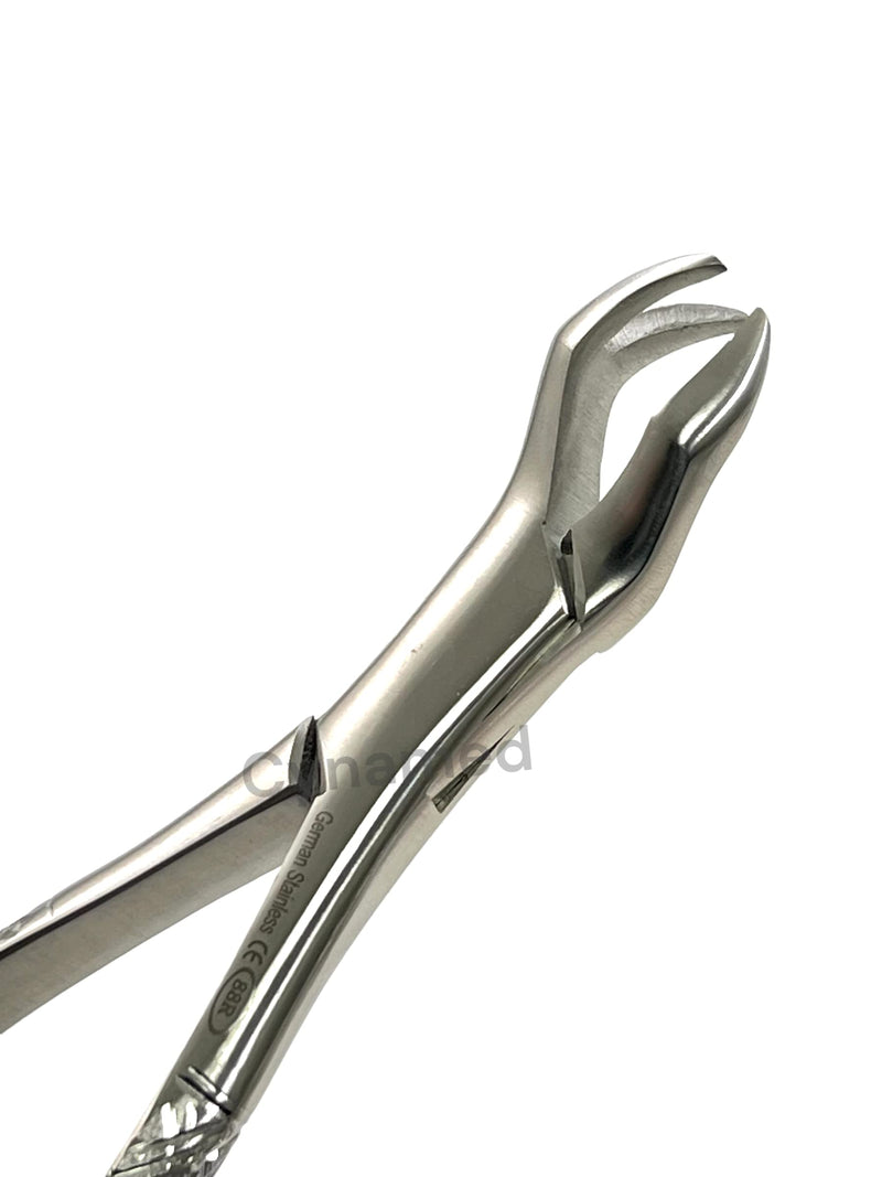Dental Extracting Forceps Extracting Forceps #88R Upper First Molar Right, Upper Second Molar Right Extracting Forceps Dental Instruments