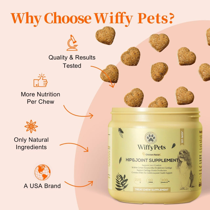 Hip and Joint Supplement Dogs with Glucasamine for Dogs, Hip Pain Relief for Small, Medium and Large Breed, Hip and Joint Chews for Dog MSM, Chondroitin 90 Count, Chicken Flavor - PawsPlanet Australia