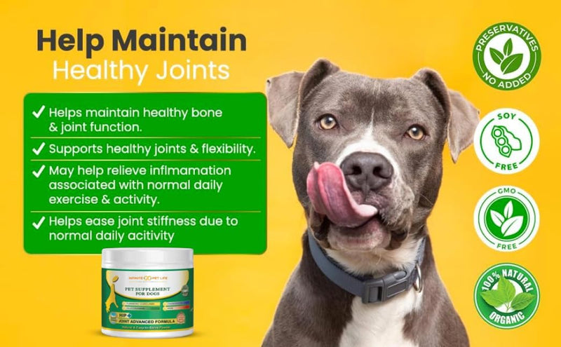 Infinite Pet Supplements Advanced Hip and Joint Supplement for Dogs Large Breed - Glucosamine for Dogs Mobility & Pain Relief - Chondroitin, MSM & Turmeric | Bundle Pack(Chewable Tablets + Powder)