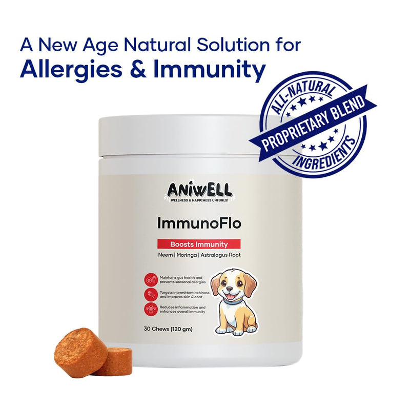 Dog Allergy & Itch Relief Combo | ImmunoFlo Immune Support Chews + Itch Relief Bites with Salmon Flavor | Daily Skin Comfort & Immunity Support