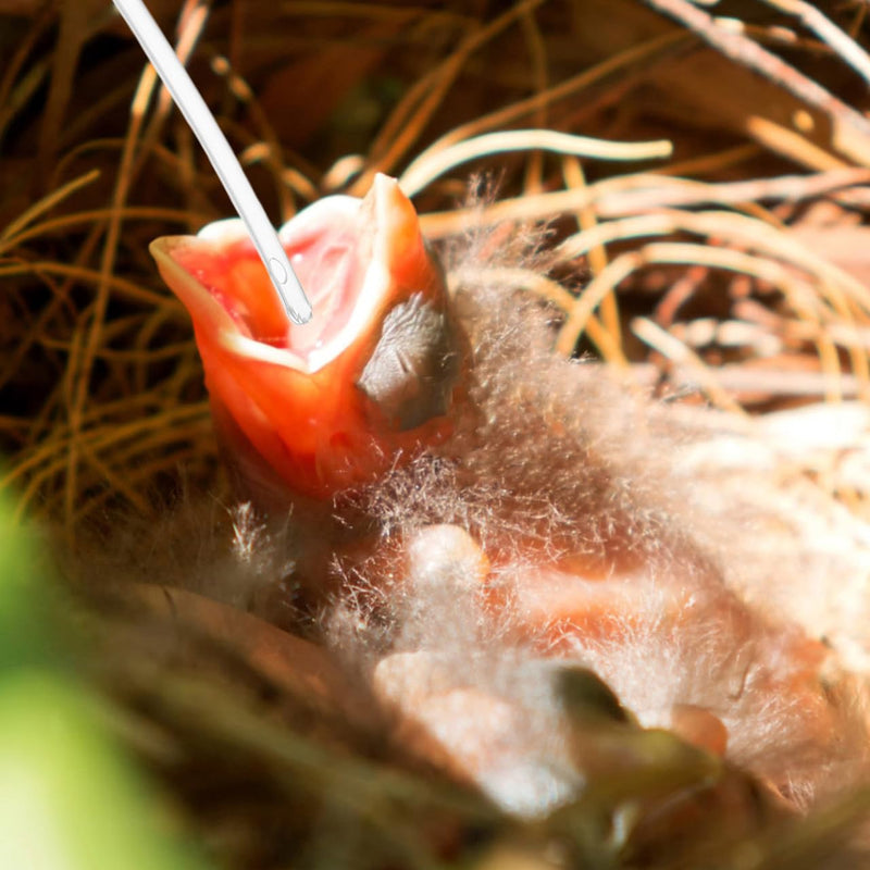 100Pcs Baby Bird Feeding Tubes Soft Clear Replacement for Parrots Small Birds Hand Feeding Accessories for Bird Breeders