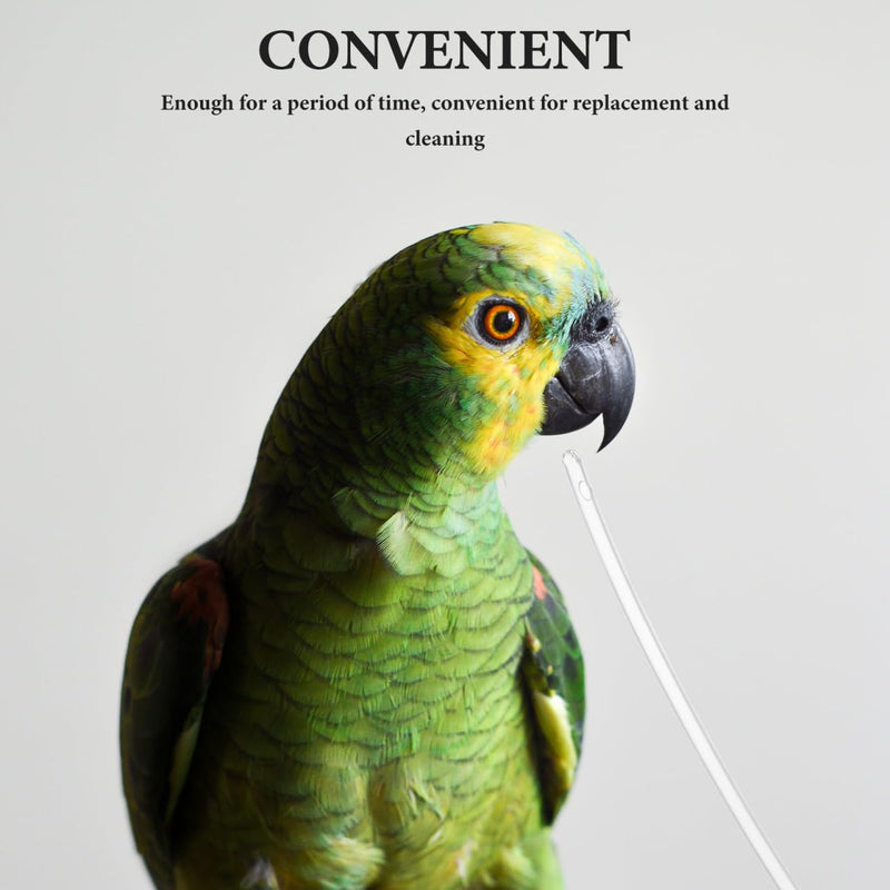 100Pcs Baby Bird Feeding Tubes Soft Clear Replacement for Parrots Small Birds Hand Feeding Accessories for Bird Breeders