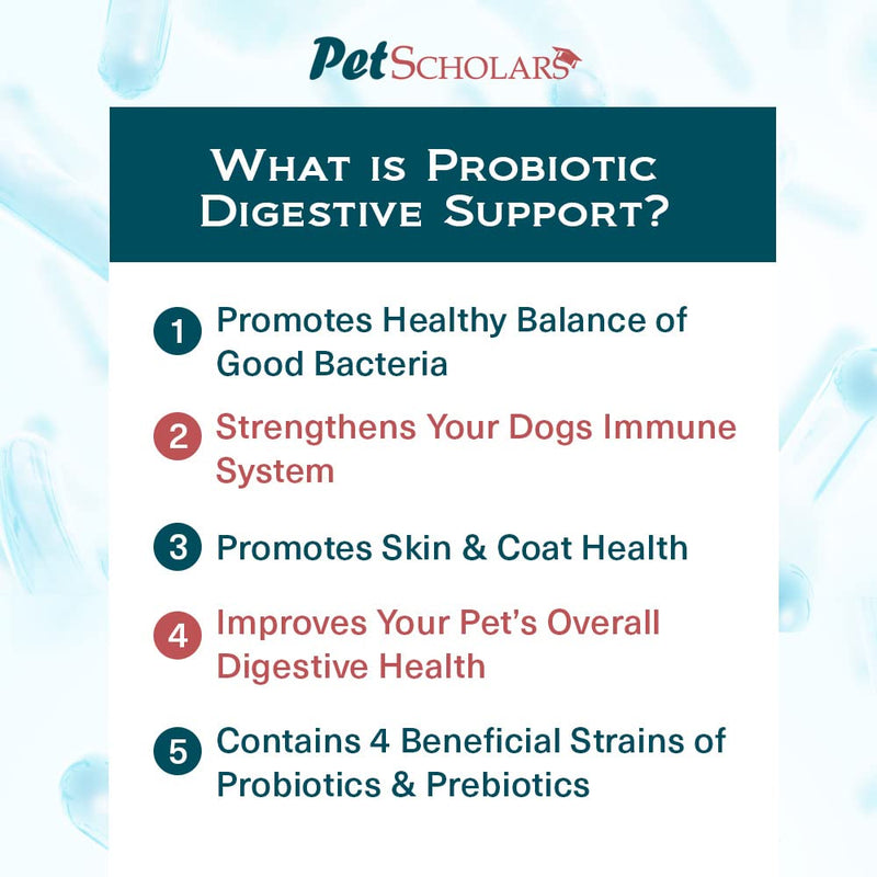 Probiotic Digestive Support for Dogs & Cats (2.12 oz), Vegetarian Probiotic Powder with Prebiotics & Enzymes, Boosts Immunity, Digestive & Gut Heath, Skin & Coat Health | Made in USA