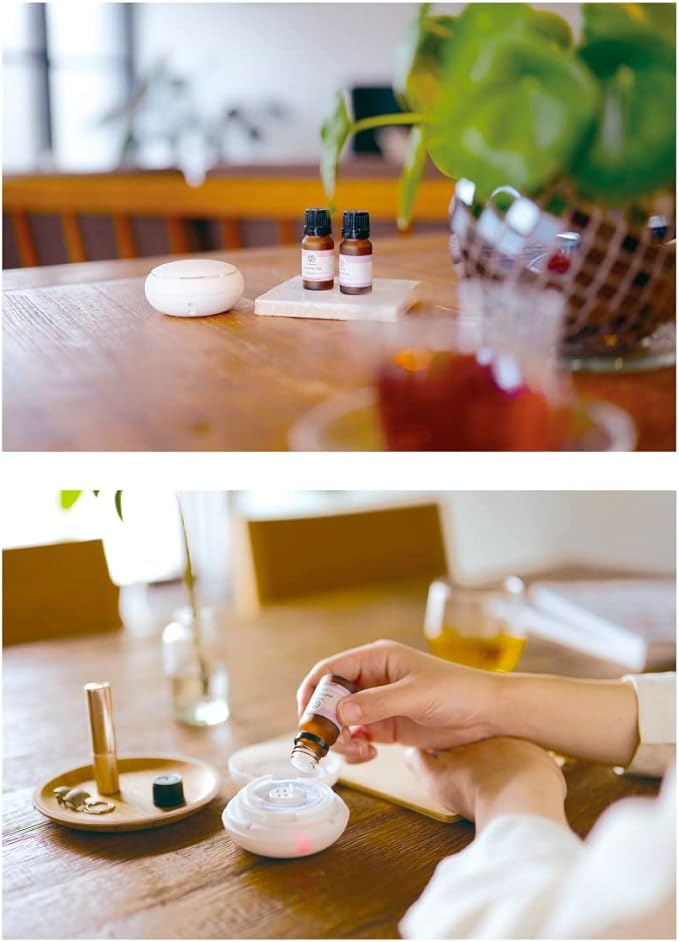 Thaleiaveil Sari Bell Aroma Diffuser, Stylish, Aroma, Cordless, Living Room, Bedroom, Desk, Car, Simple, Natural, Compact Fan Diffuser, Gray, Waterless, Vaporizable, Rechargeable, Compact - NewNest Australia