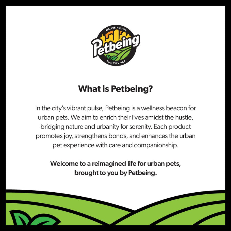 Green A Day Veggie Strips for Dogs | Carrot & Apple Vegetarian Supplement Chews | Healthy Fruit & Vegetable Treats | 4 Pack, 3 oz Bags Carrot, Apple